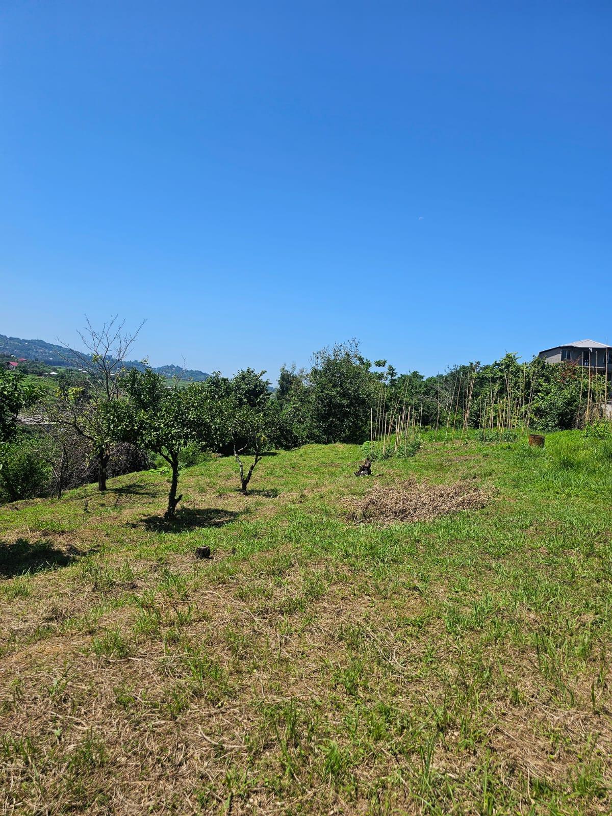 Land For Sale In Chakvi, 3,900 M² For $332,000 view 15