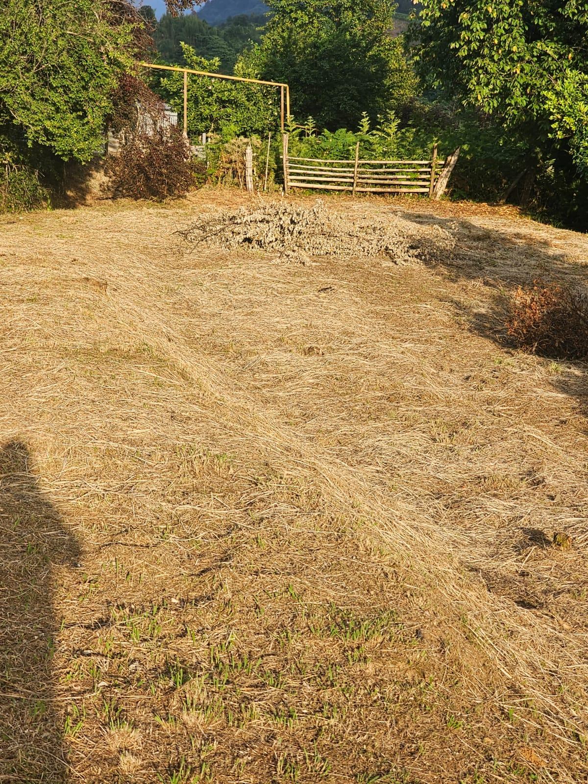 Land For Sale In Chakvi, 3,900 M² For $332,000 view 13
