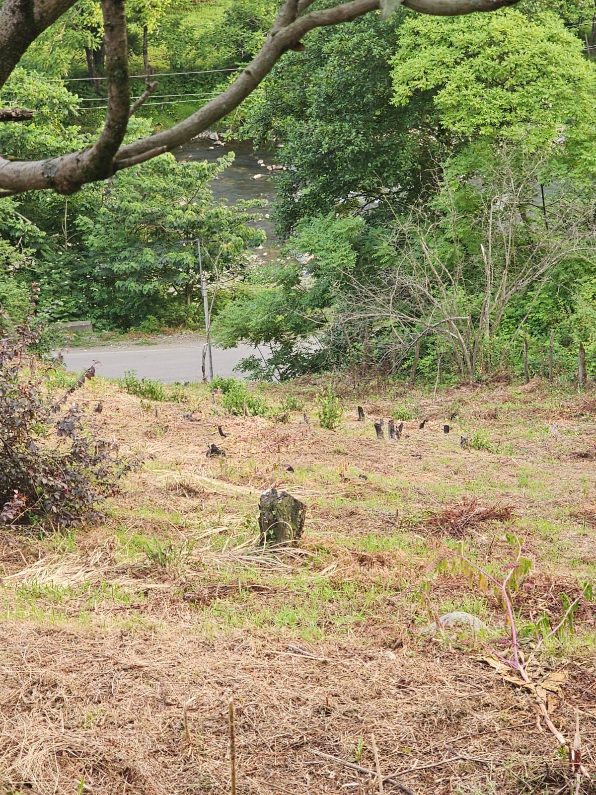 Land For Sale In Chakvi, 3,900 M² For $332,000 view 12