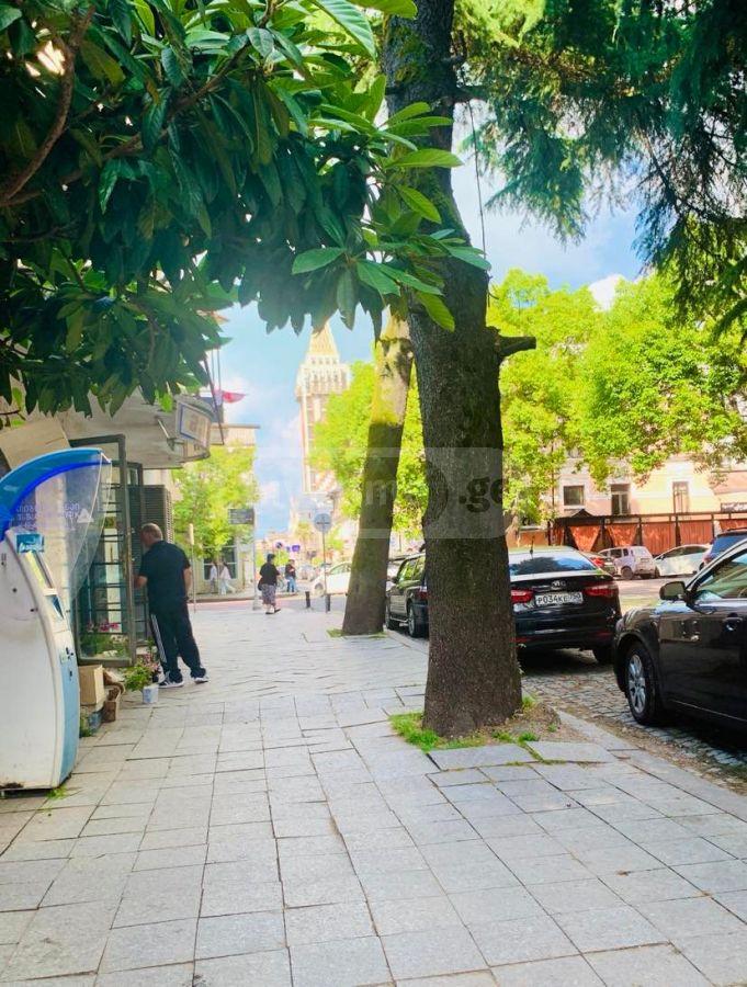 2-Room Apartment For Daily Rent In Batumi, Parnavaz Mepe St, 54, 45 M² — 140 ₾ Per Day view 6