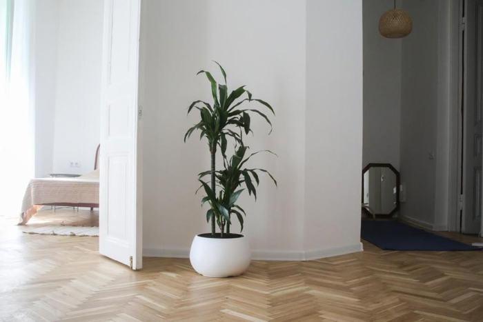 2-Room Apartment For Rent In Tbilisi, Ierusalimi St view 3
