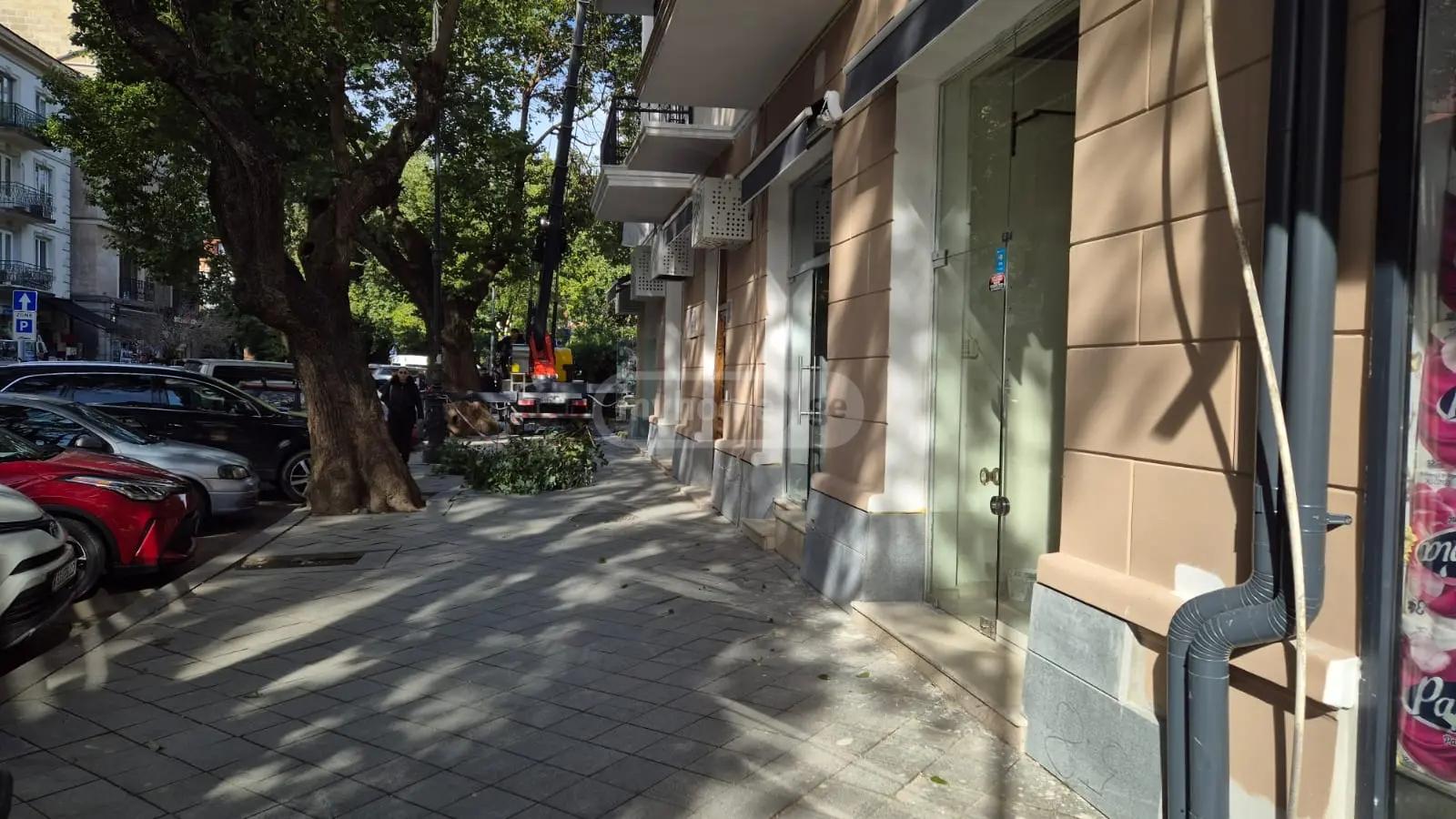 Commercial Property For Rent: 350 M² In Batumi, Parnavaz Mepe St, 60 – $7,000 view 3