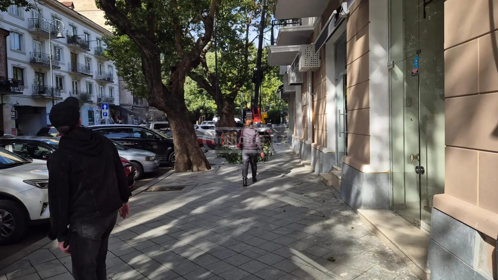 Commercial Property For Rent: 350 M² In Batumi, Parnavaz Mepe St, 60 – $7,000 view 2