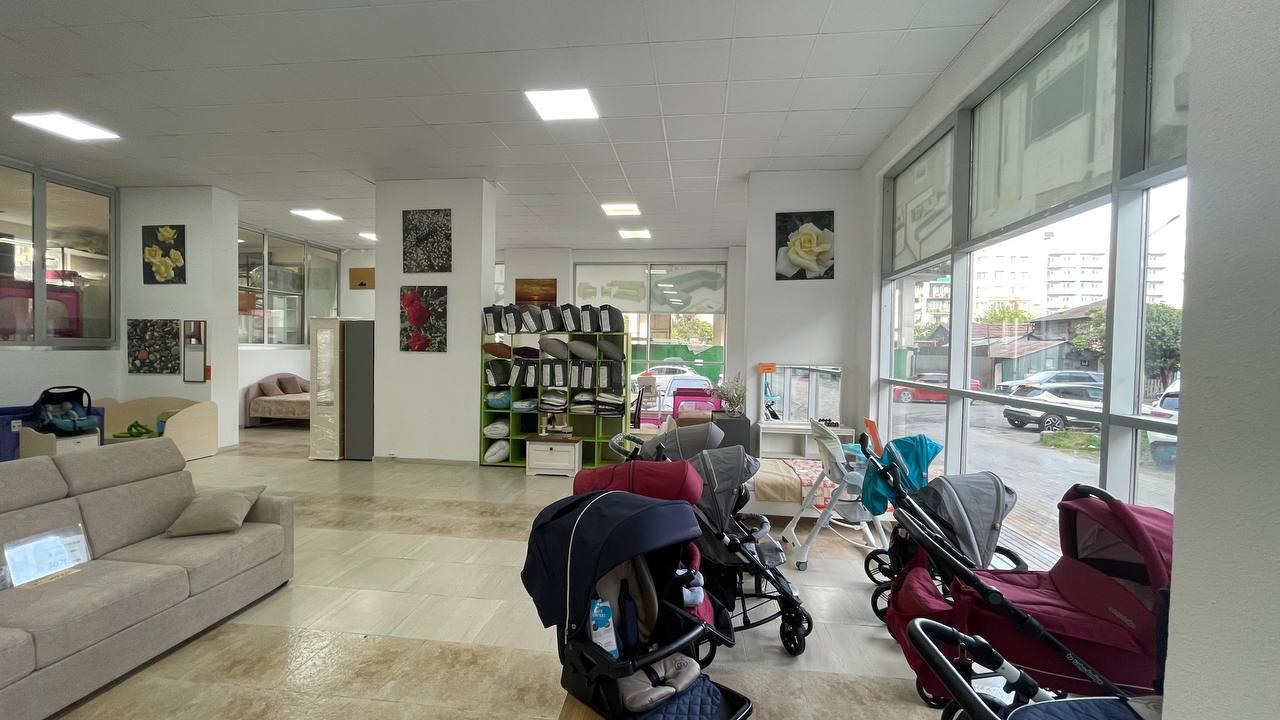 Commercial Property For Sale: 285 M² In Batumi, Petre Bagrationi St, 120 – $456,000 view 8
