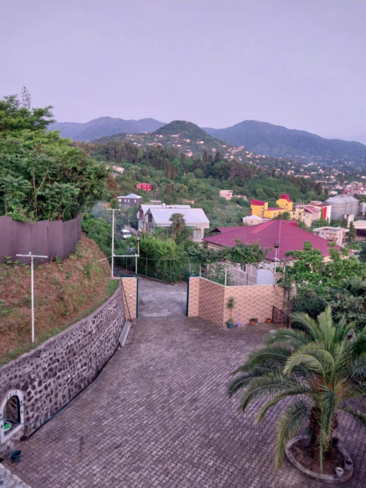 8-Room House For Rent In Batumi, Bartskhana Bridge view 9