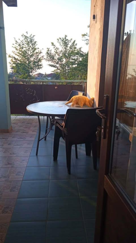 10-Room House In Batumi, Amaghleba St, 20, 200 M², Is Available For Daily Rent For 450 ₾ view 5