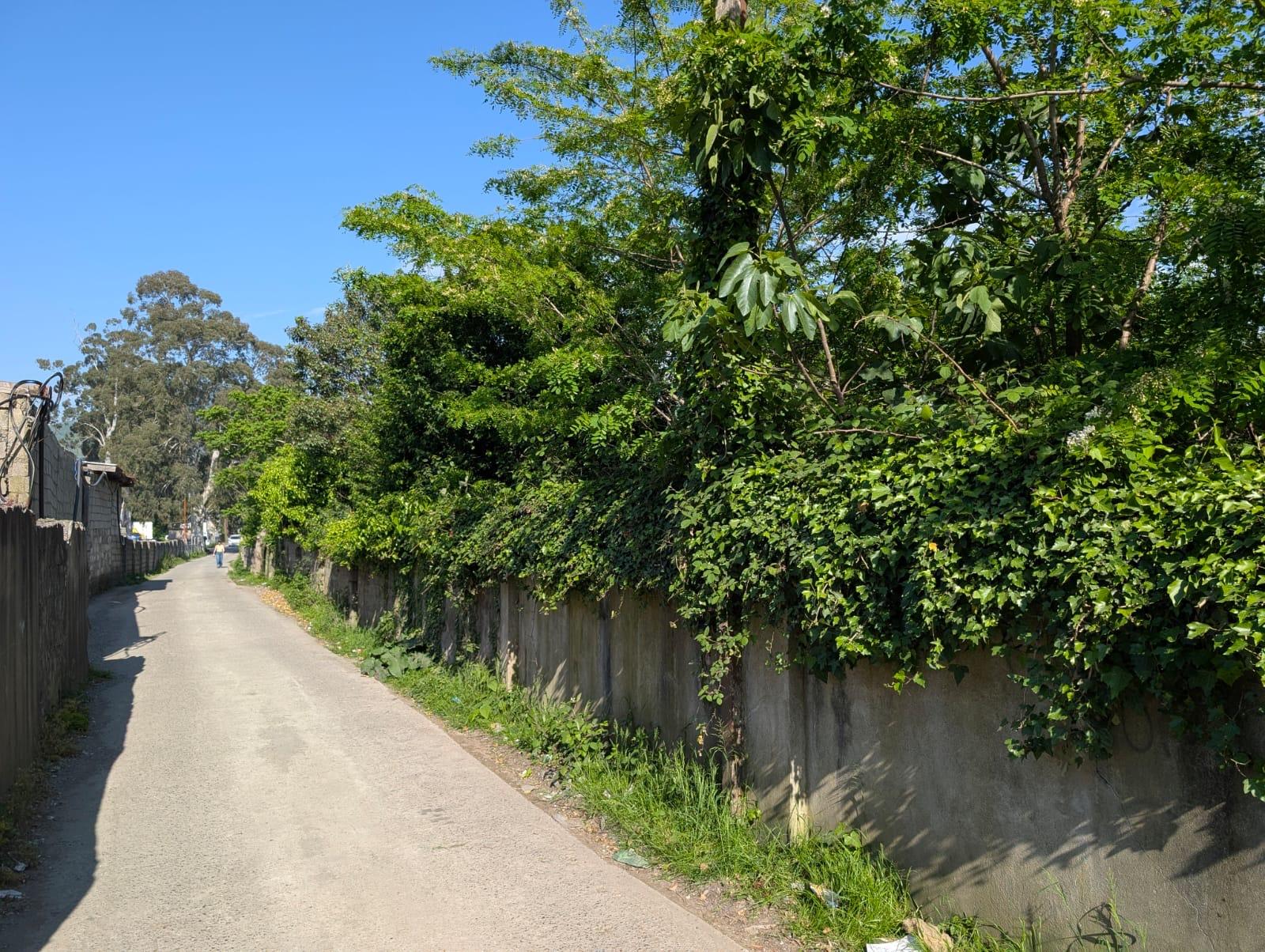 Land For Sale In Batumi, 6,000 M² For $1,570,000 view 1