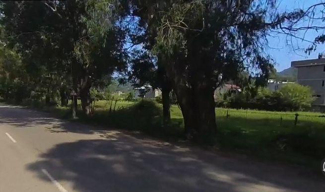 Land For Sale In Batumi, 6,000 M² For $1,570,000 view 8