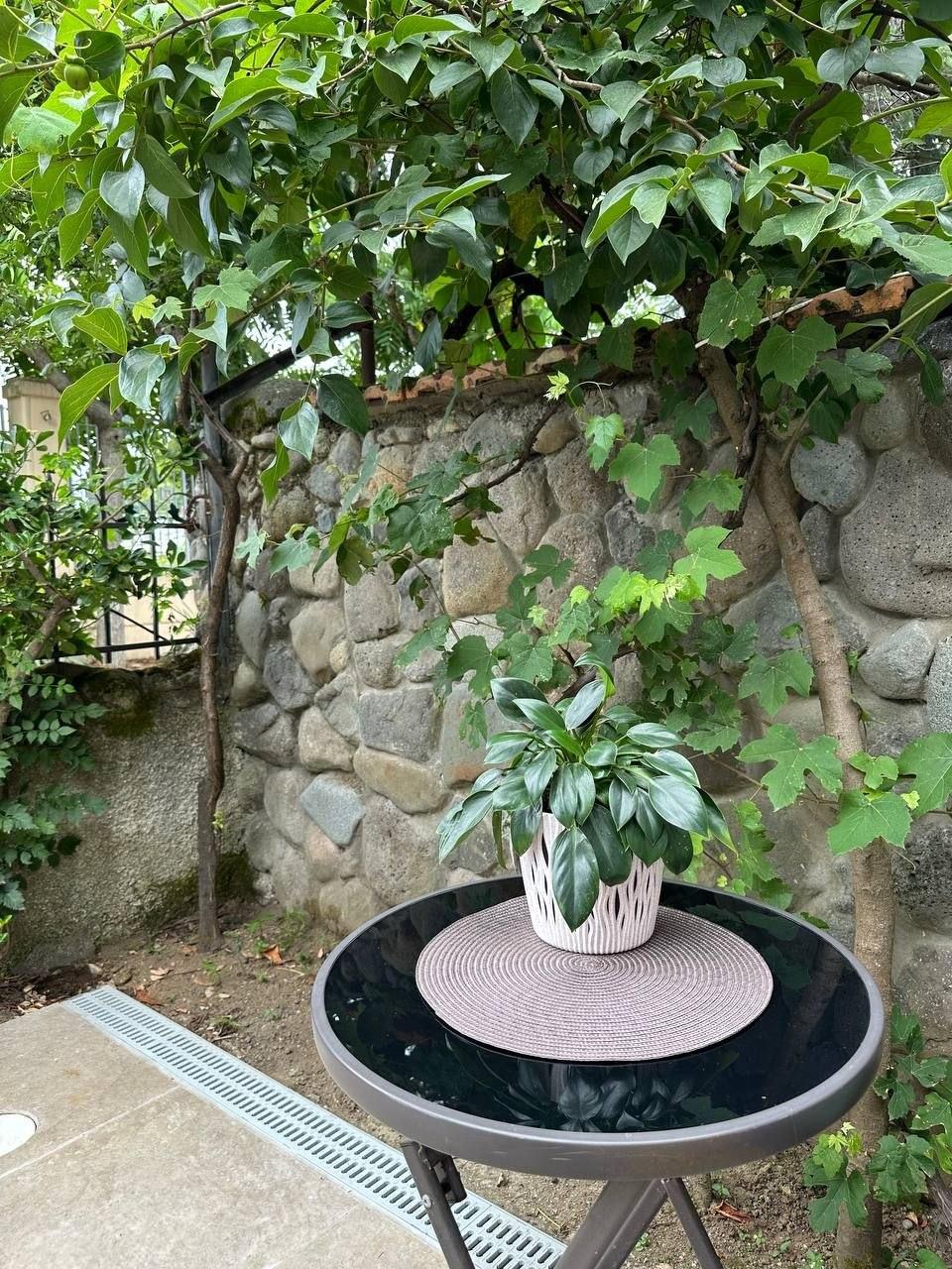 2-Room House In Chakvi, Tbilisi St, 11, 50 M², Is Available For Daily Rent For $80 view 3