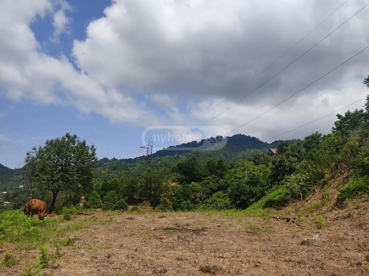 Land For Sale In Batumi, 1,948 M² For $87,660 view 1