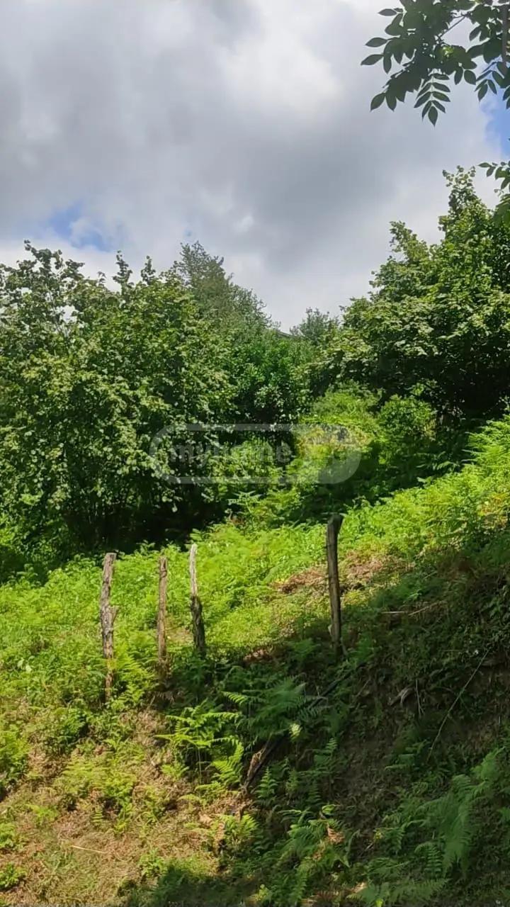Land For Sale In Batumi, 1,948 M² For $87,660 view 2