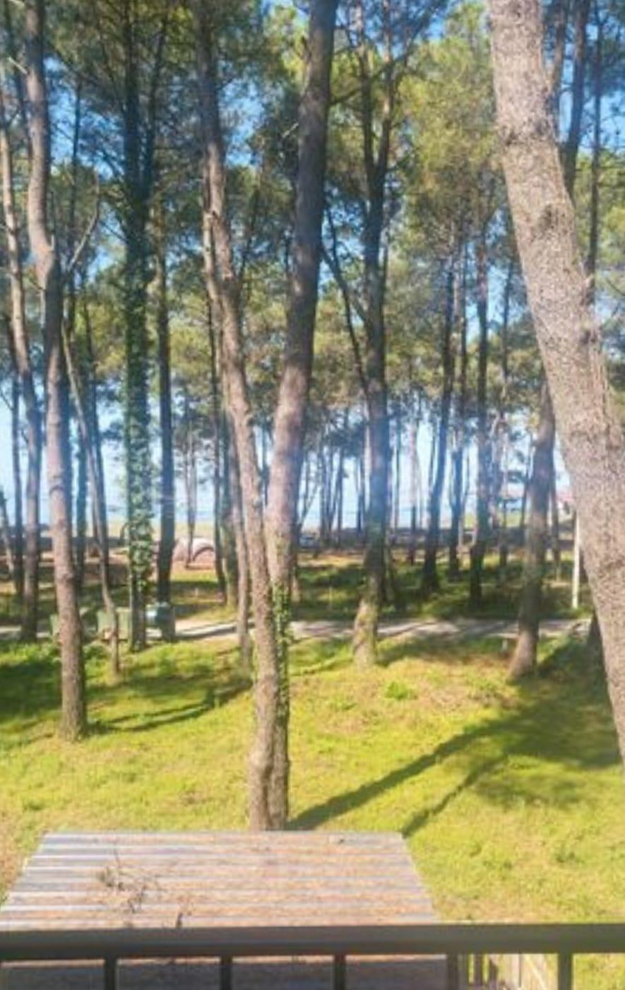 Продажа 5-Room House в In Ureki, Михаила Чануквадзе, 1 view 18