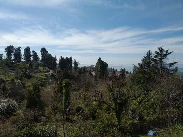 Land For Sale In Batumi, 371 M² For $62,700 view 3