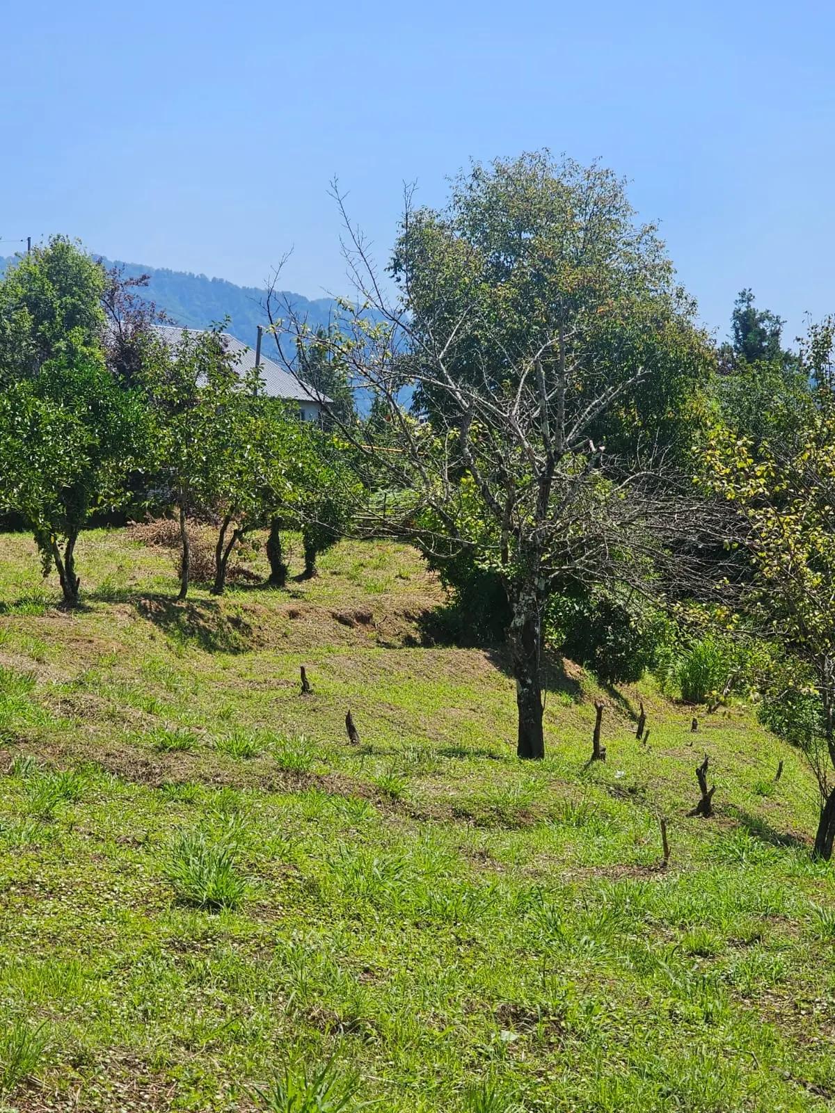 Land For Sale In Batumi, 3,900 M² For $312,000 view 4