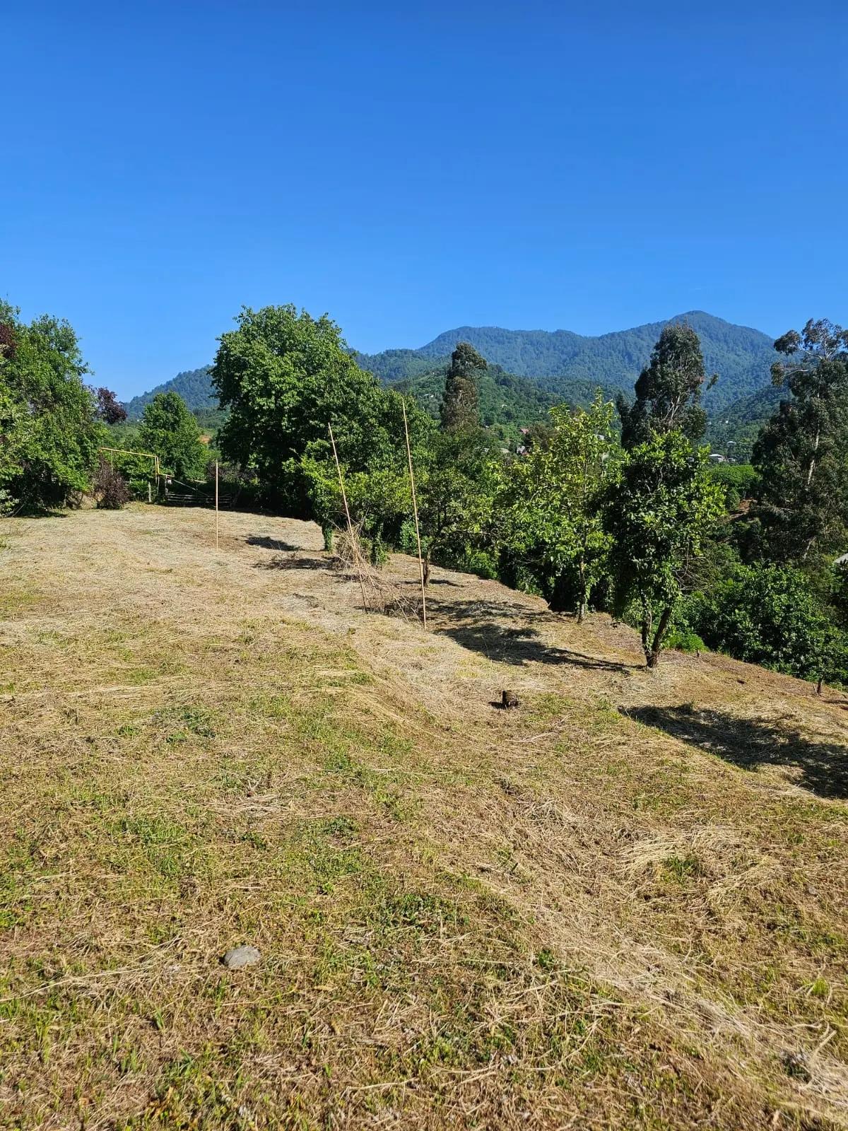 Land For Sale In Batumi, 3,900 M² For $312,000 view 1