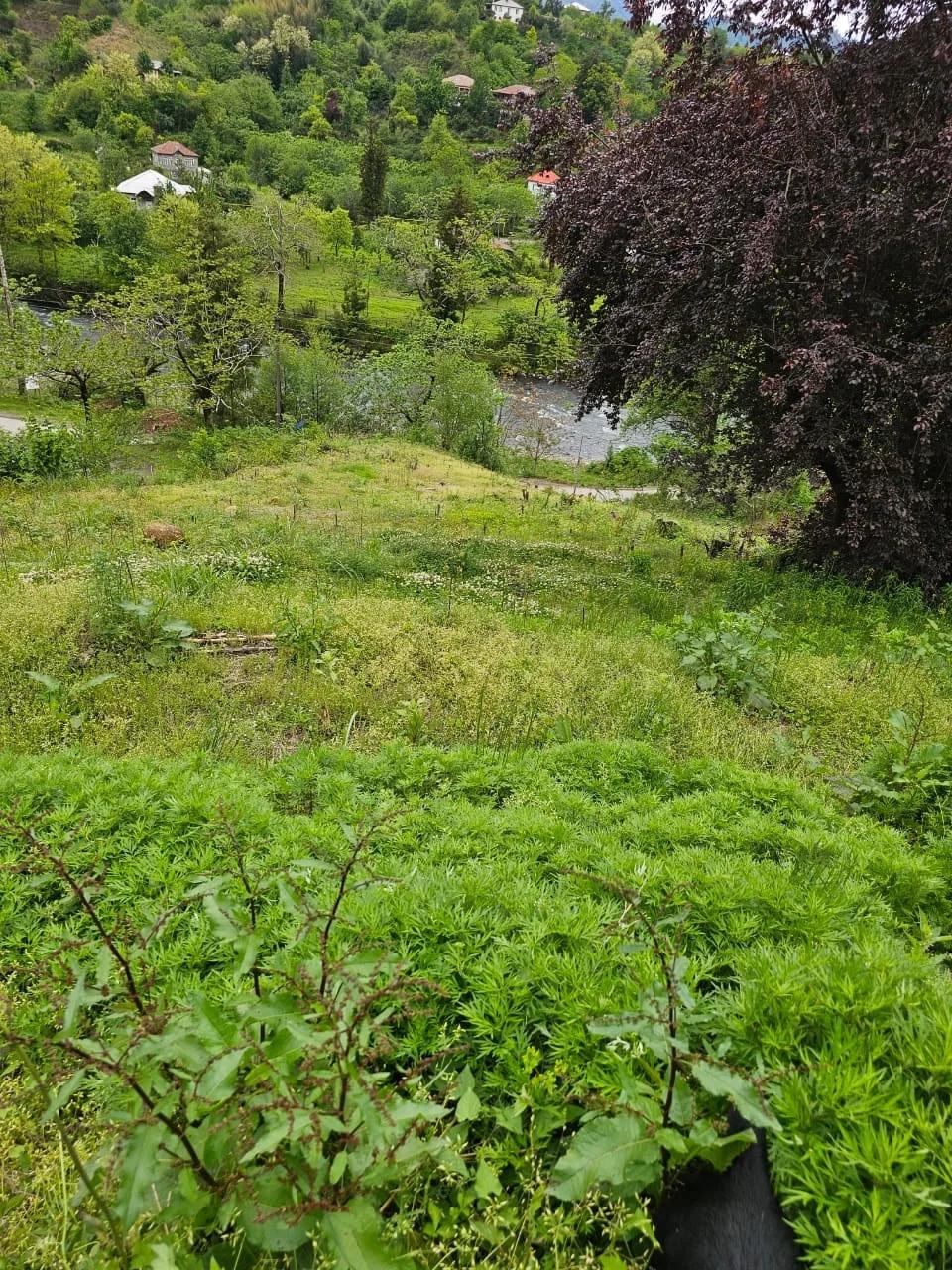 Land For Sale In Batumi, 3,900 M² For $312,000 view 6