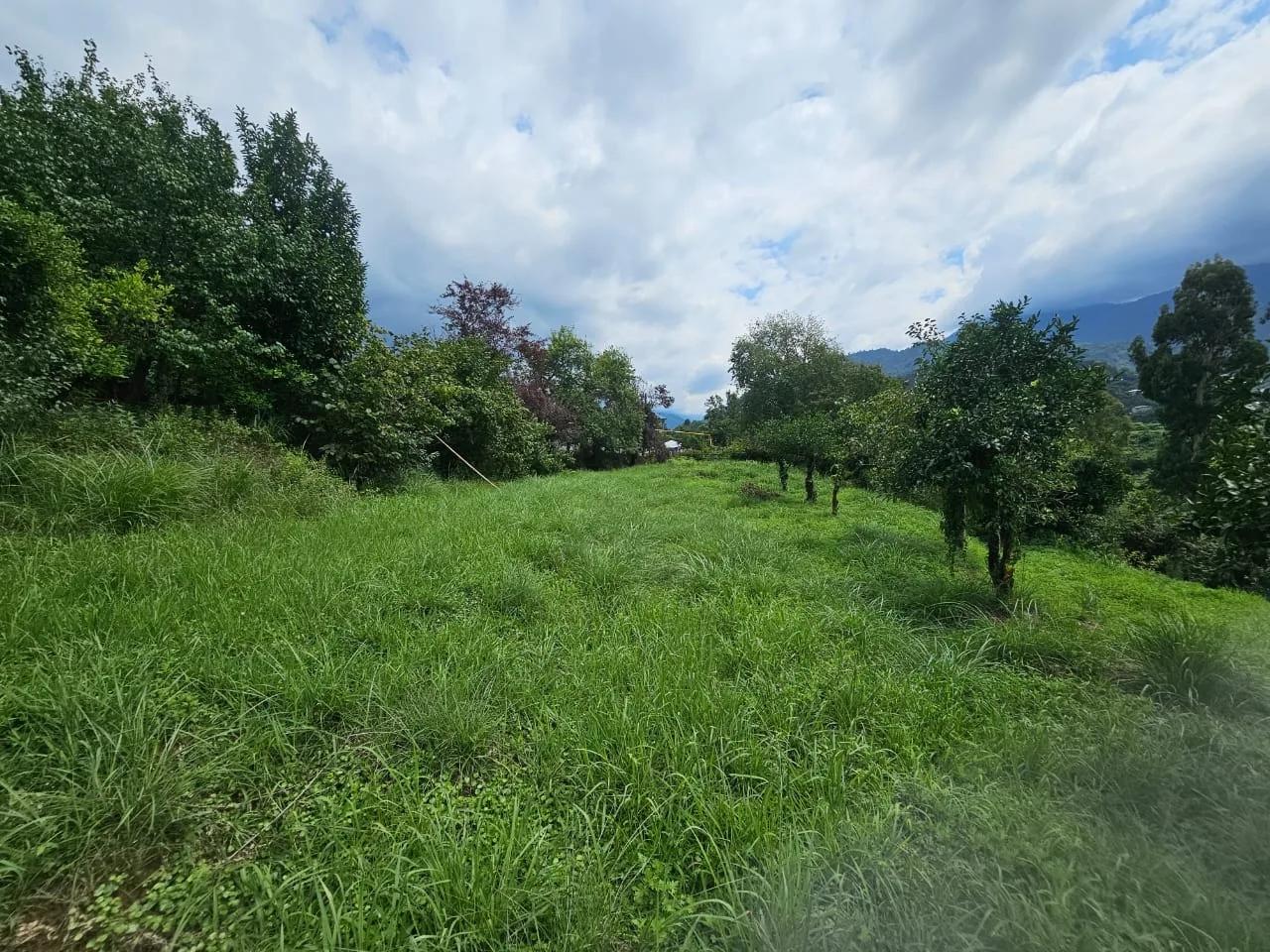 Land For Sale In Batumi, 3,900 M² For $312,000 view 7