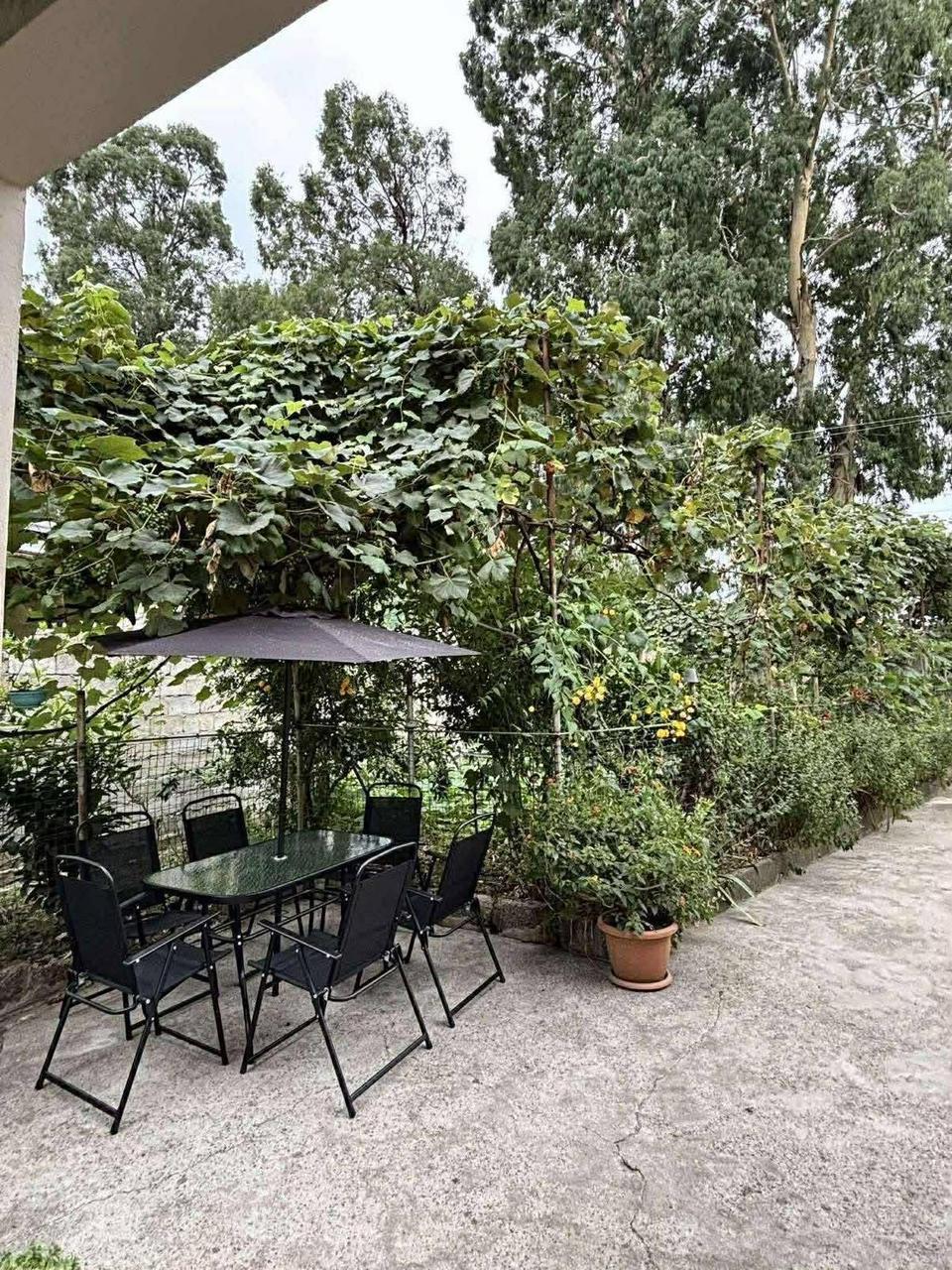 5-Room House For Rent In Batumi, Machakhela St, 35 view 12