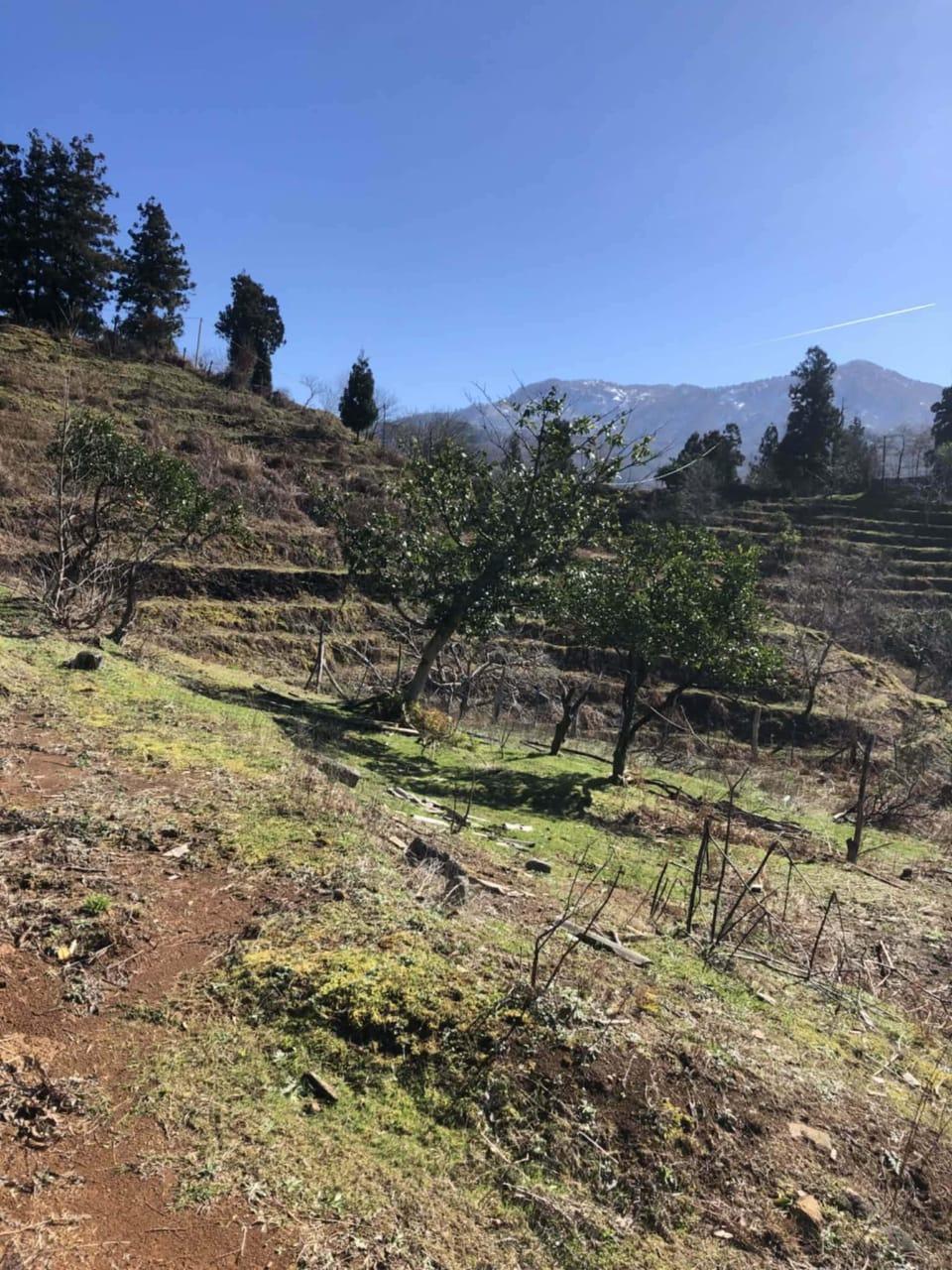 Land For Sale In Chakvi, 3,472 M² For $86,800 view 2