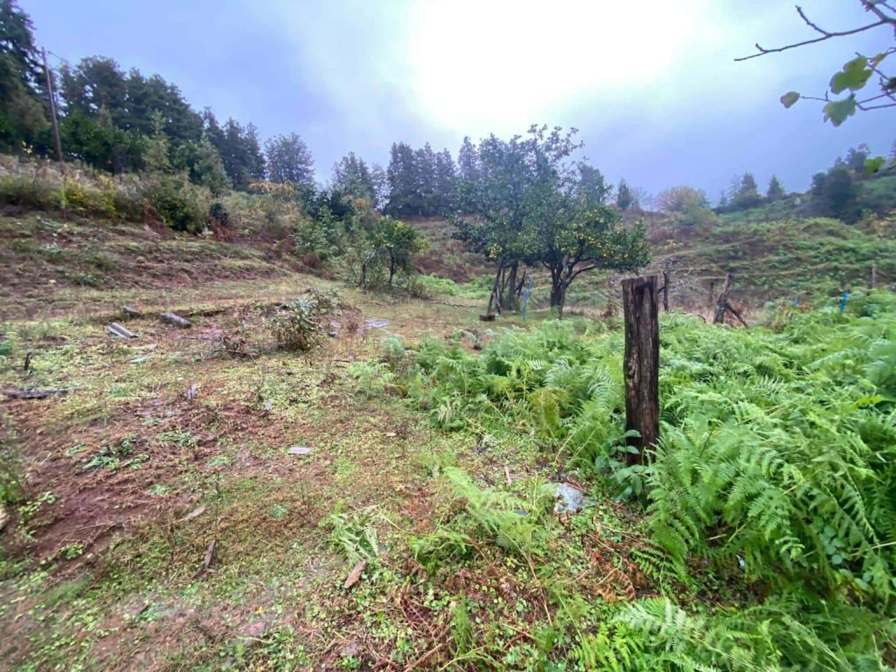 Land For Sale In Chakvi, 3,472 M² For $86,800 view 3