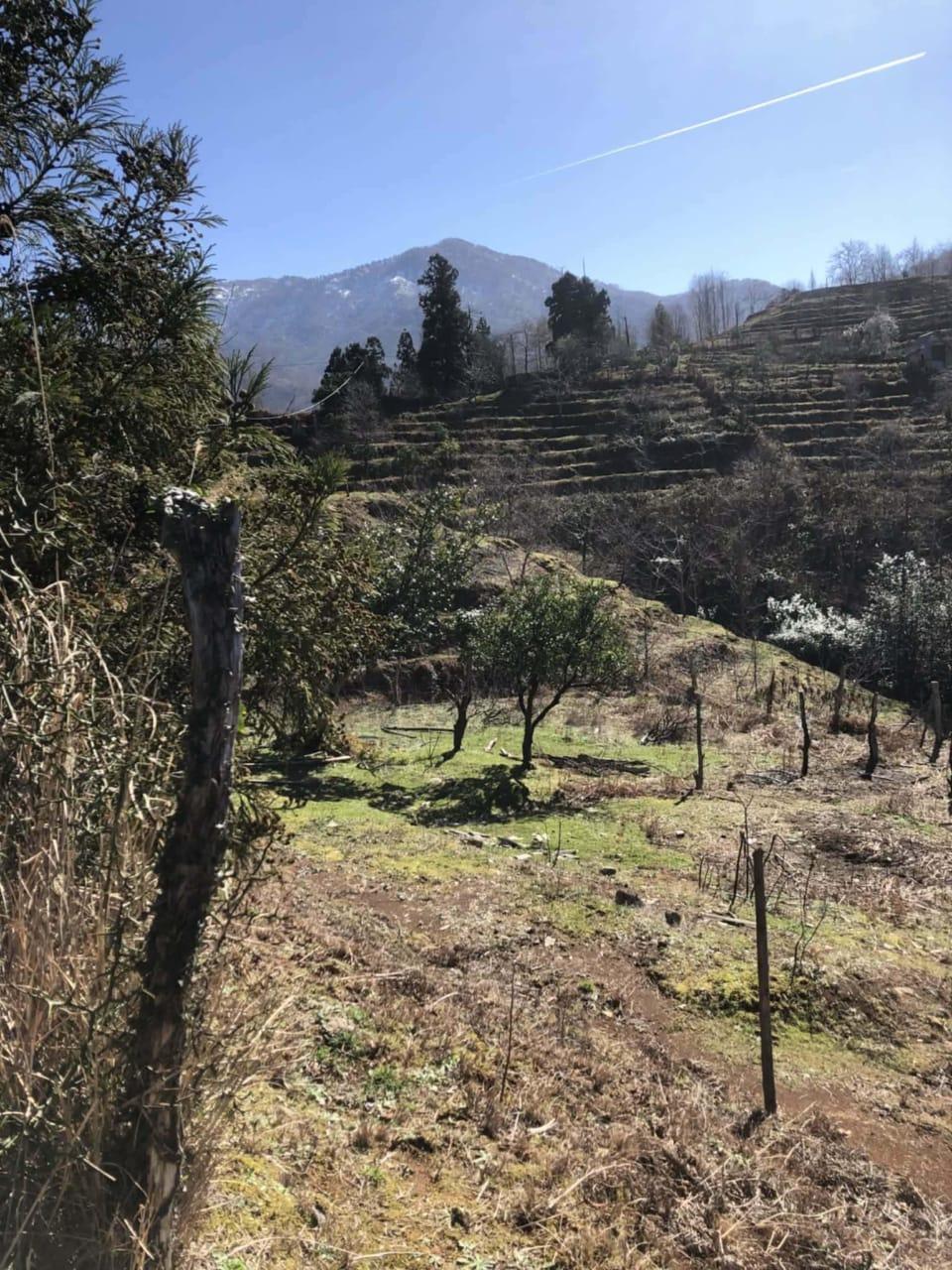 Land For Sale In Chakvi, 3,472 M² For $86,800 view 5