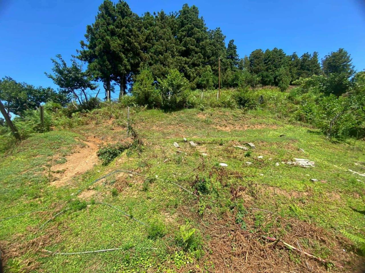 Land For Sale In Chakvi, 3,472 M² For $86,800 view 4