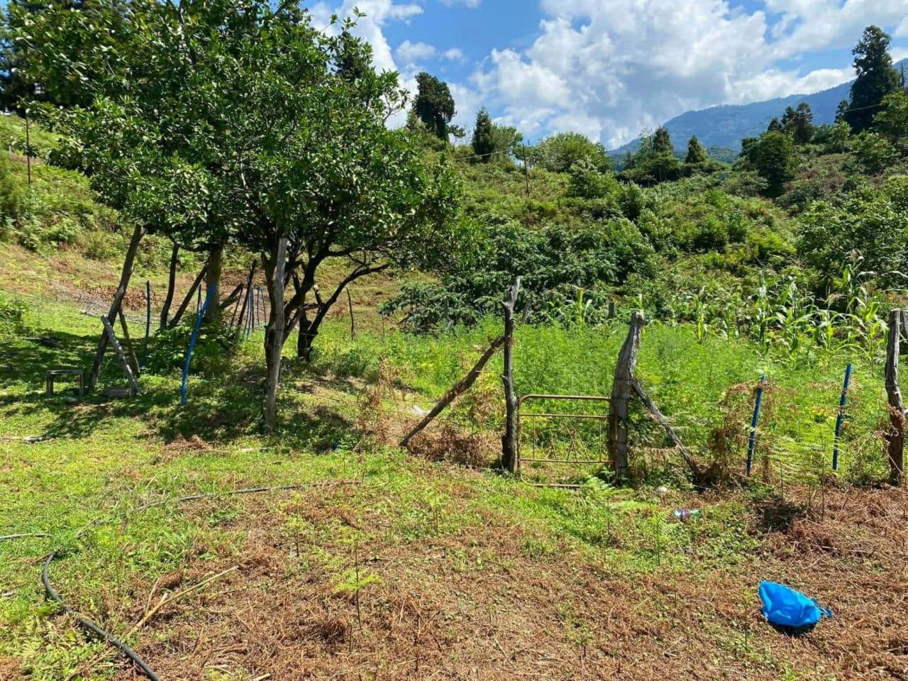 Land For Sale In Chakvi, 3,472 M² For $86,800 view 1