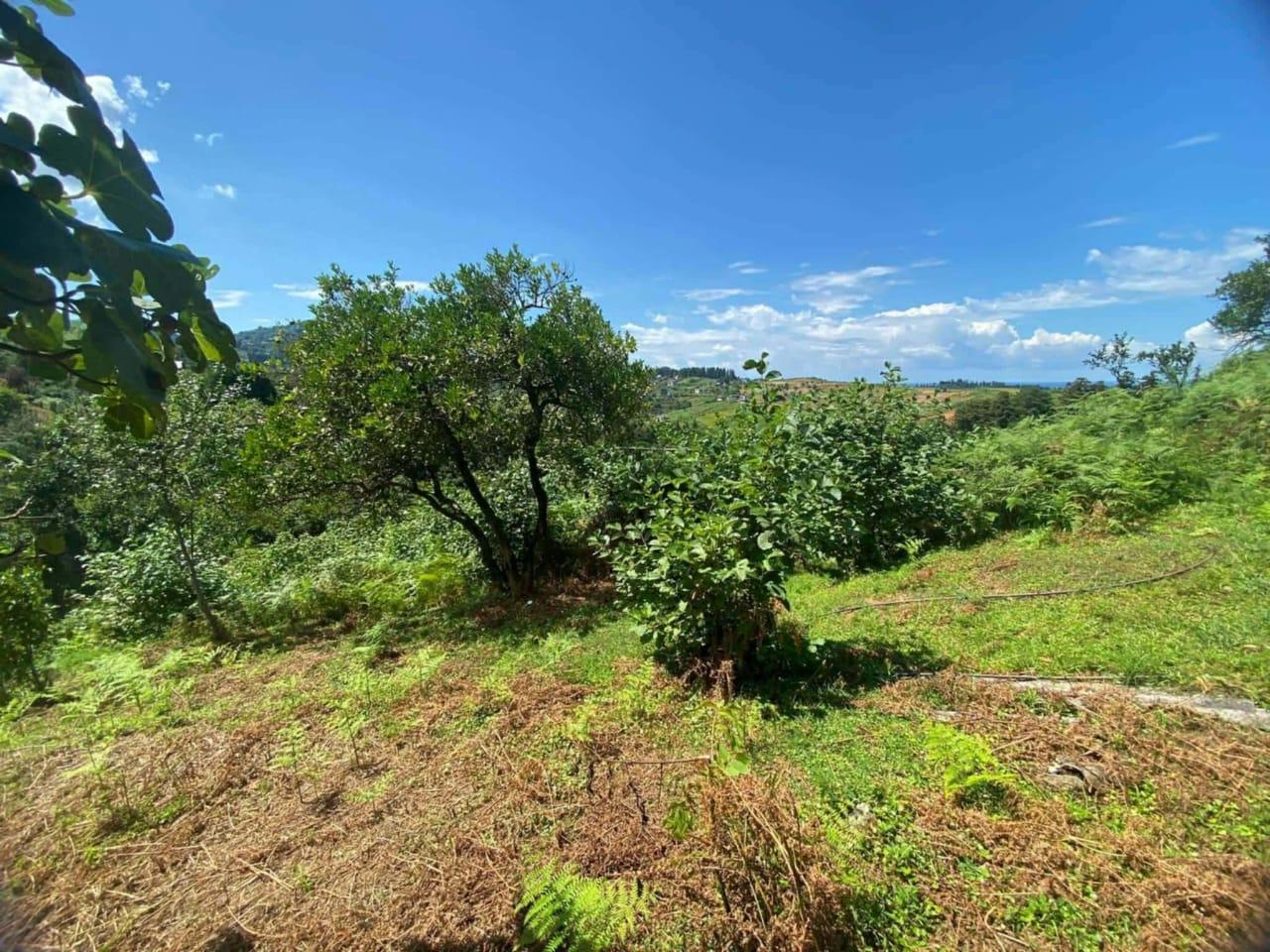 Land For Sale In Chakvi, 3,472 M² For $86,800 view 6