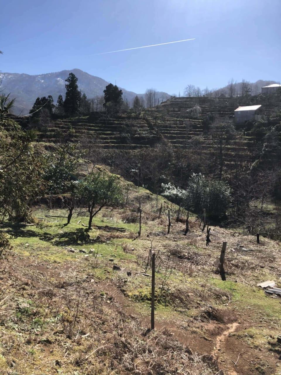 Land For Sale In Chakvi, 3,472 M² For $86,800 view 8