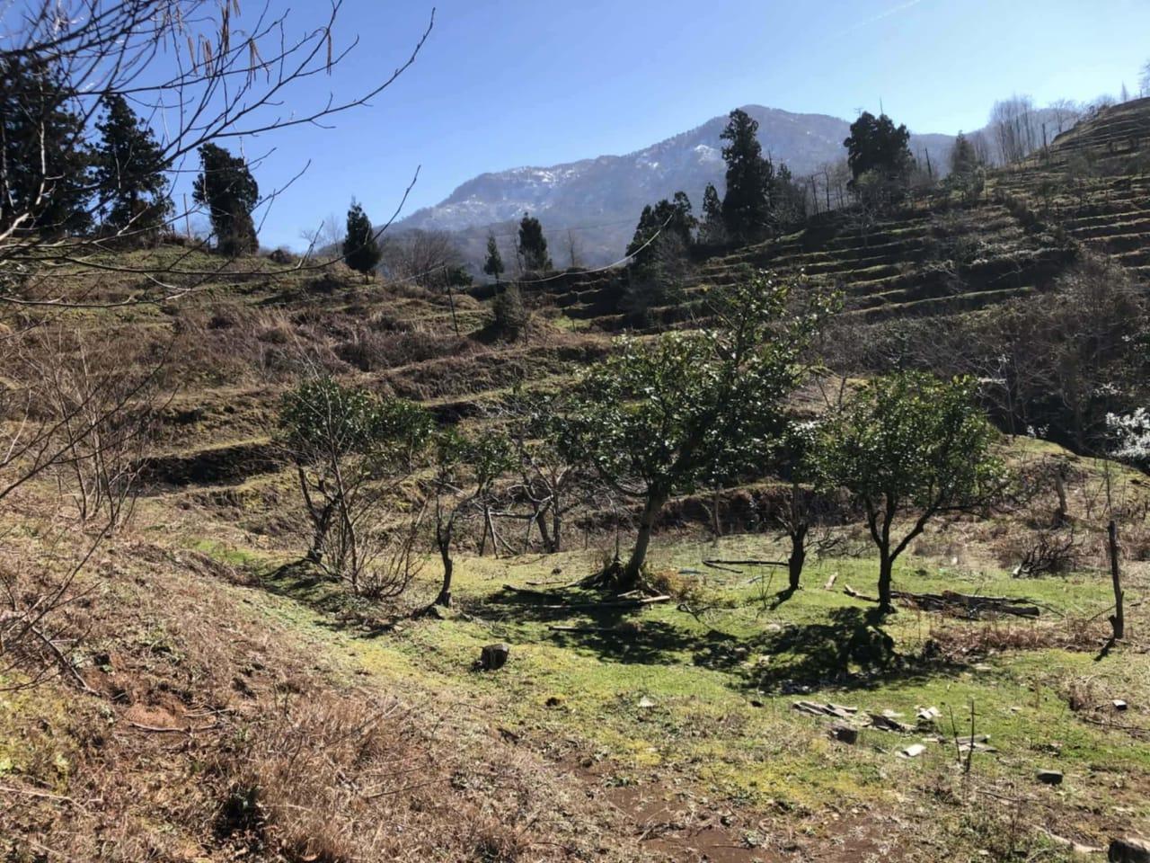 Land For Sale In Chakvi, 3,472 M² For $86,800 view 7