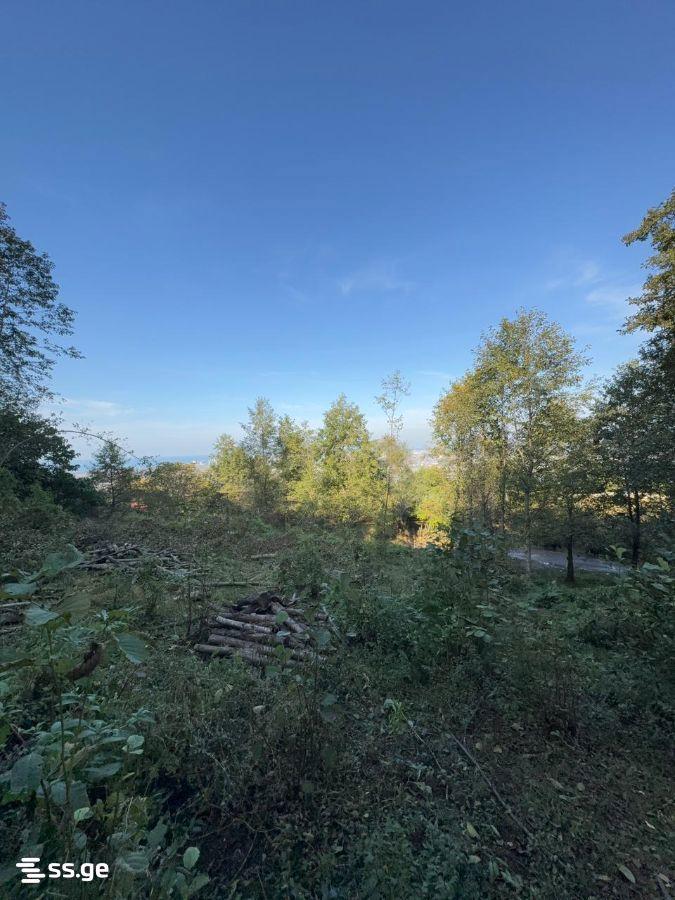 Land For Sale In Batumi, 2,980 M² For $387,000 view 12