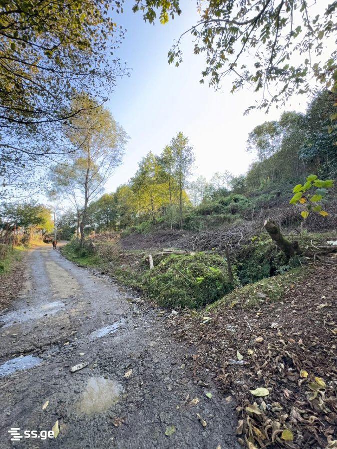 Land For Sale In Batumi, 2,980 M² For $387,000 view 11
