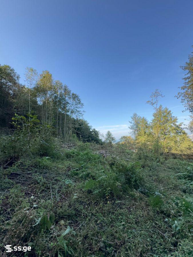 Land For Sale In Batumi, 2,980 M² For $387,000 view 10