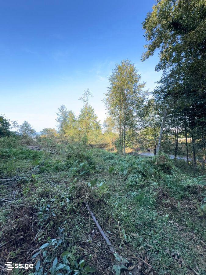Land For Sale In Batumi, 2,980 M² For $387,000 view 7