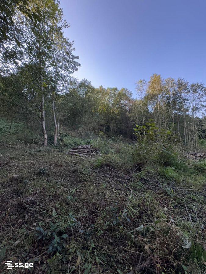 Land For Sale In Batumi, 2,980 M² For $387,000 view 9