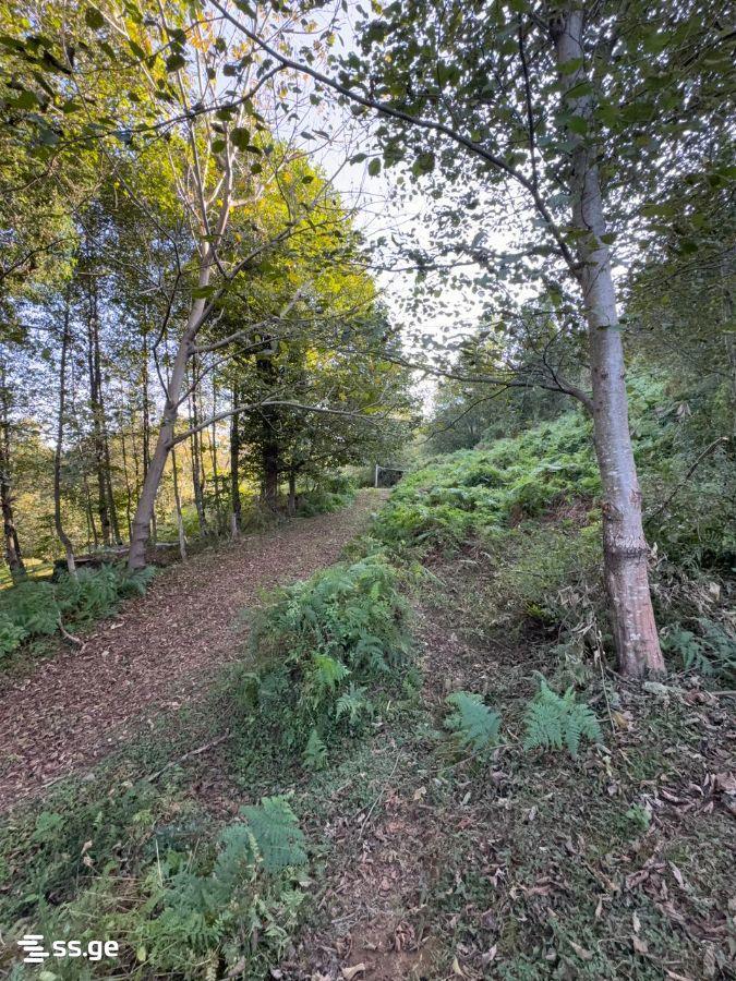 Land For Sale In Batumi, 2,980 M² For $387,000 view 6