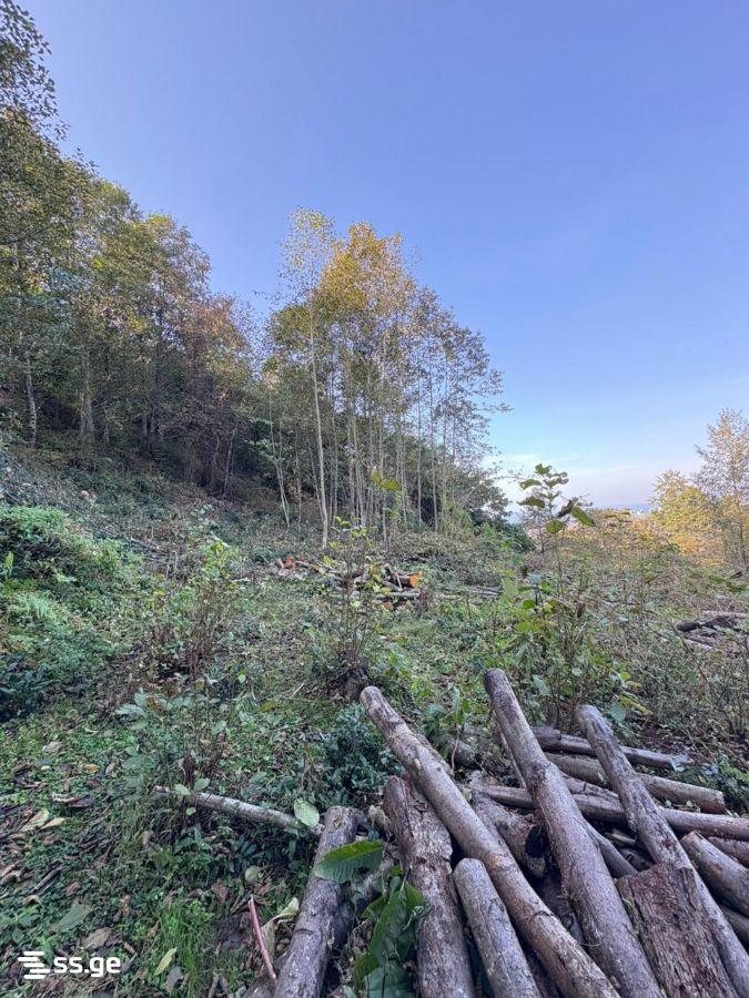 Land For Sale In Batumi, 2,980 M² For $387,000 view 5