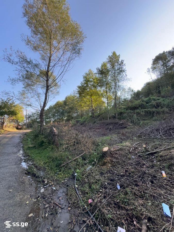 Land For Sale In Batumi, 2,980 M² For $387,000 view 3