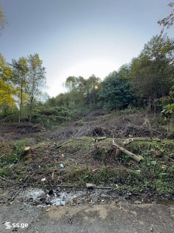 Land For Sale In Batumi, 2,980 M² For $387,000 view 4