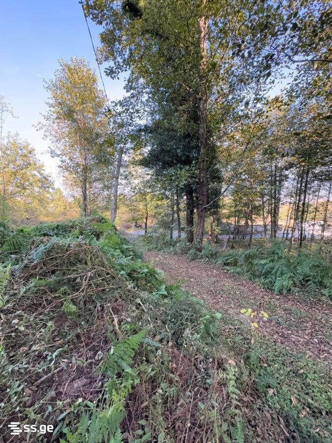 Land For Sale In Batumi, 2,980 M² For $387,000 view 2