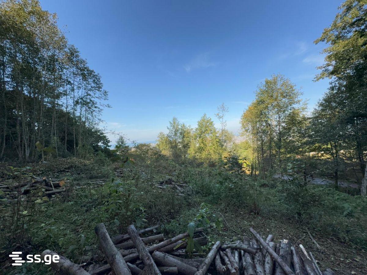Land For Sale In Batumi, 2,980 M² For $387,000 view 1