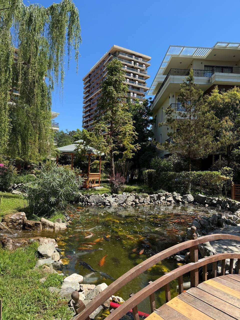 2-Room Apartment For Daily Rent In Chakvi, Dreamland Oasis, 35 M² — $100 Per Day view 13