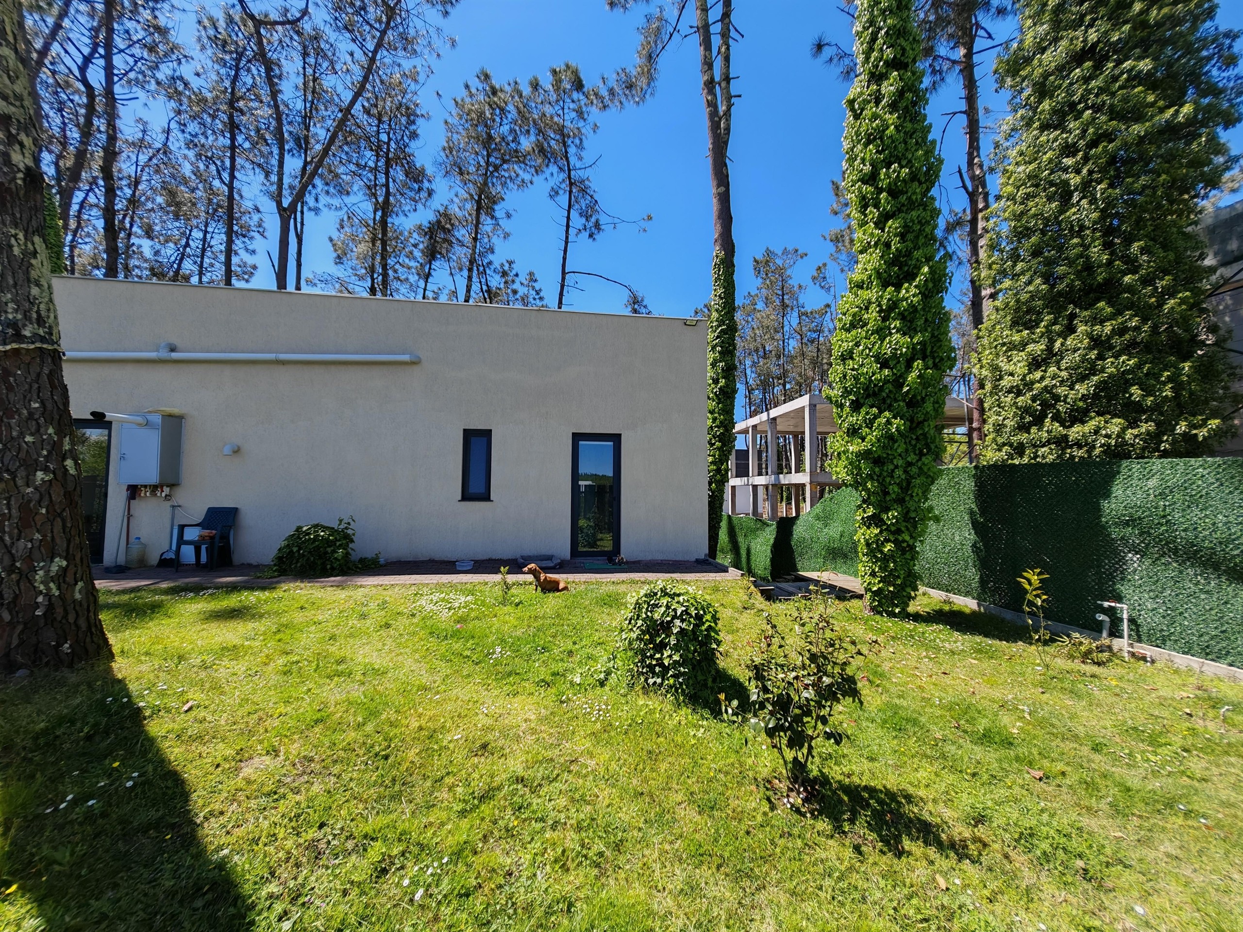 Продажа 4-BR Cottage в In Shekvetili, XQC8+73 Tsvermaghala view 4