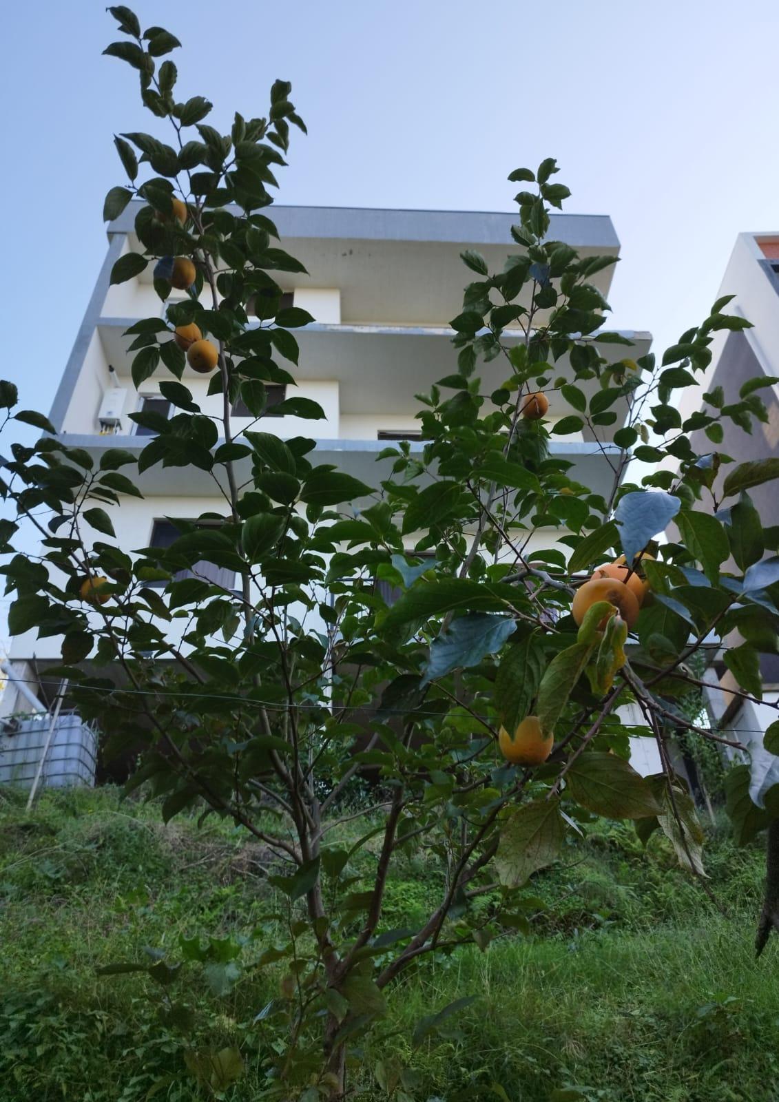 5-Room House For Sale In Batumi, Todogauris Dasakhleba view 9