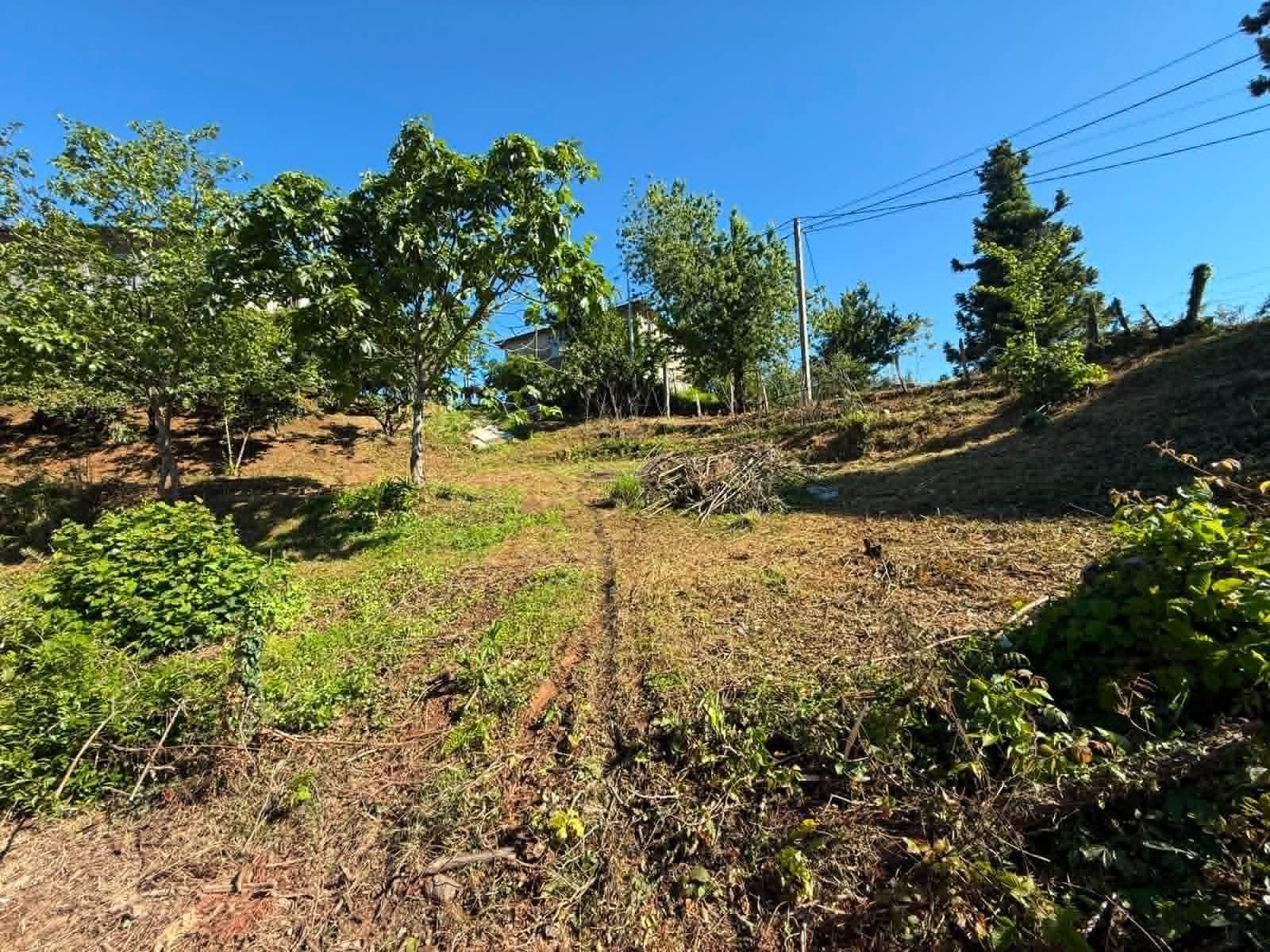 Land For Sale In Chakvi, 500 M² For $40,000 view 1