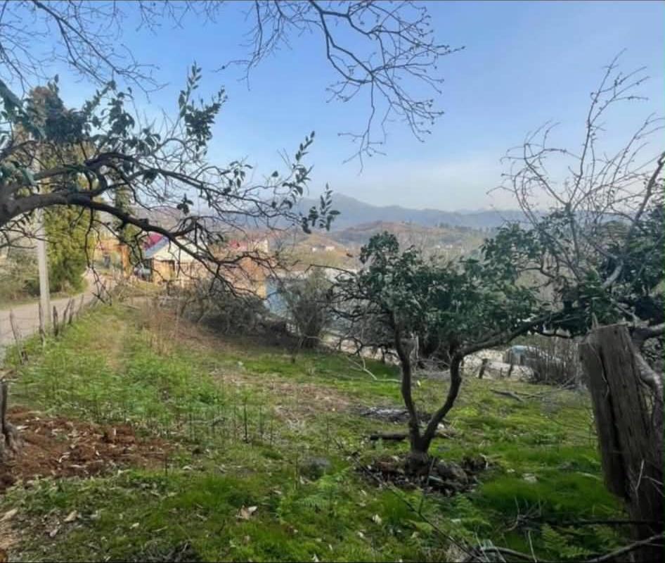 Land For Sale In Chakvi, 500 M² For $40,000 view 4