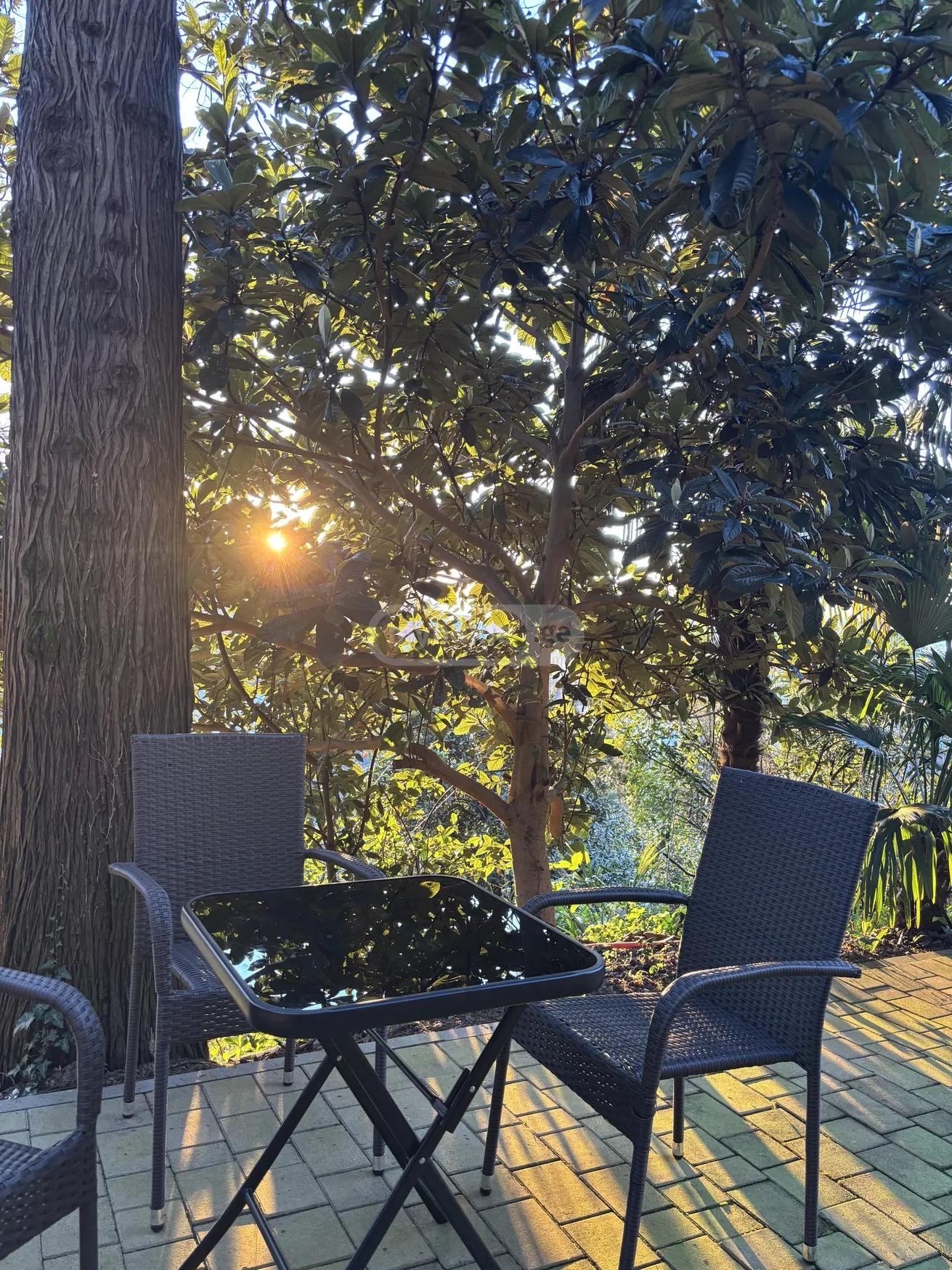 10-Room House In Batumi, Markoz Achareli 3rd Lane, 5, 480 M², Is Available For Daily Rent For $677 view 8