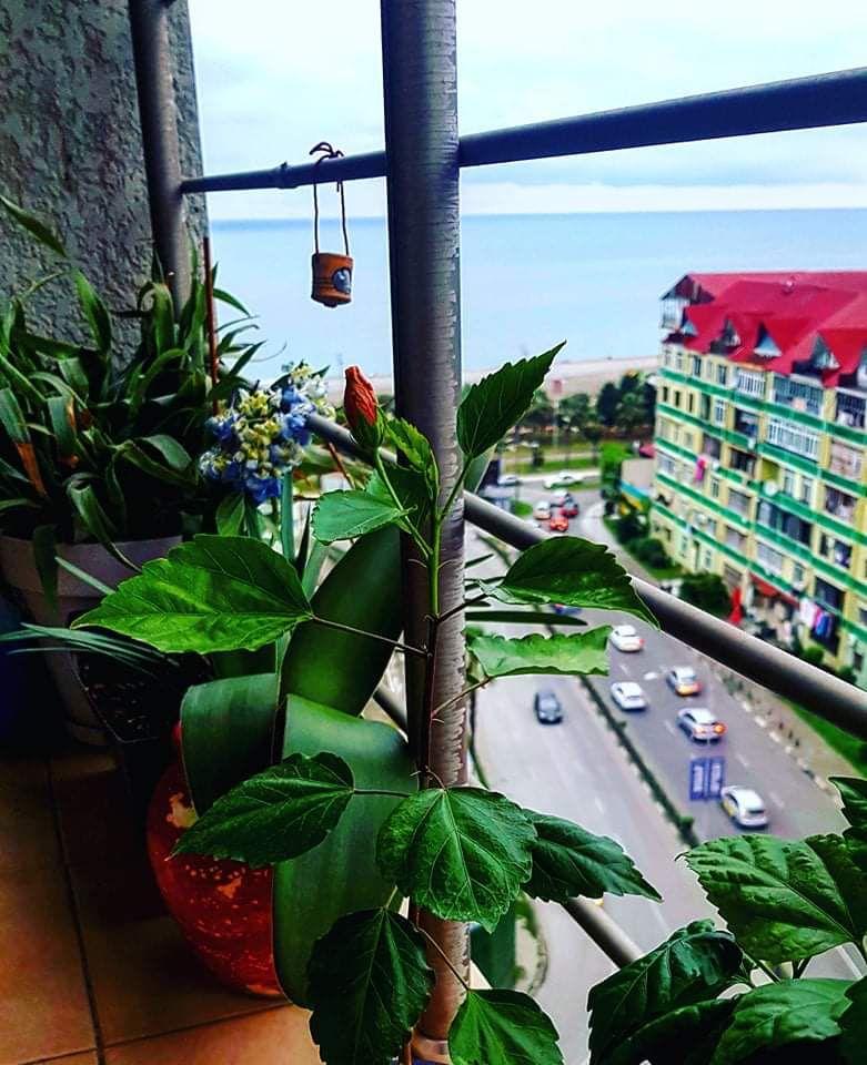 2-Room Apartment For Daily Rent In Batumi, Subtropic City, 45 M² — $50 Per Day view 10