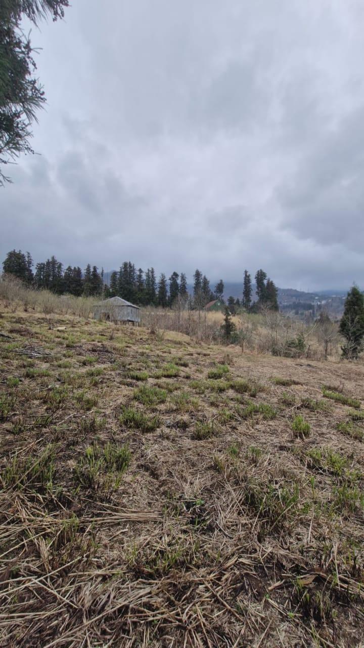 Land For Sale In Chakvi, 3,464 M² For $138,560 view 4