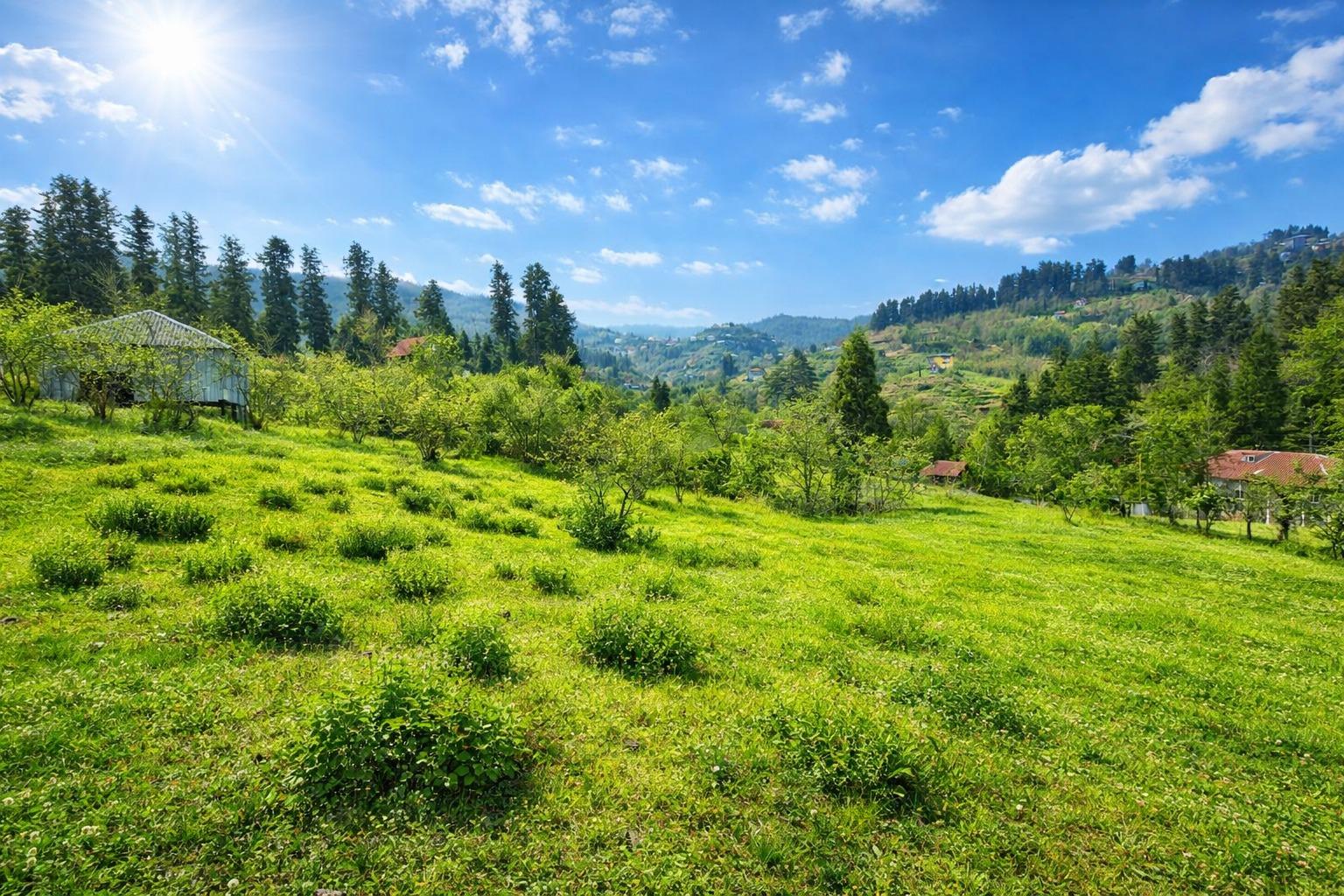 Land For Sale In Chakvi, 3,464 M² For $138,560 view 1